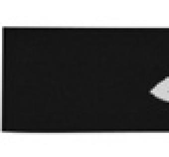 Brýle SMITH Monanshee black gold lite (brýle na brýle)