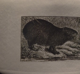 Čepice síťovka Kapybara Mesh – River boss (black/white)