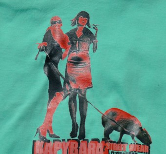 Dětské tričko Kapybara wear – Biatchezz (mint)