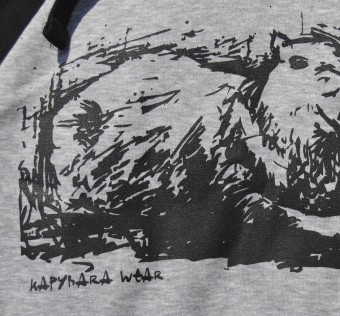 Dětská mikina Kapybara wear – Sketch renglan