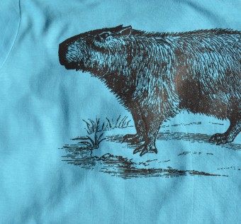 Dětské tričko Kapybara wear – Forest King (tyrkys)