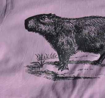 Dětské tričko Kapybara wear – Forest King (pink)