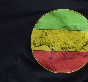 Tričko Kapybara wear – Rasta Style (black)